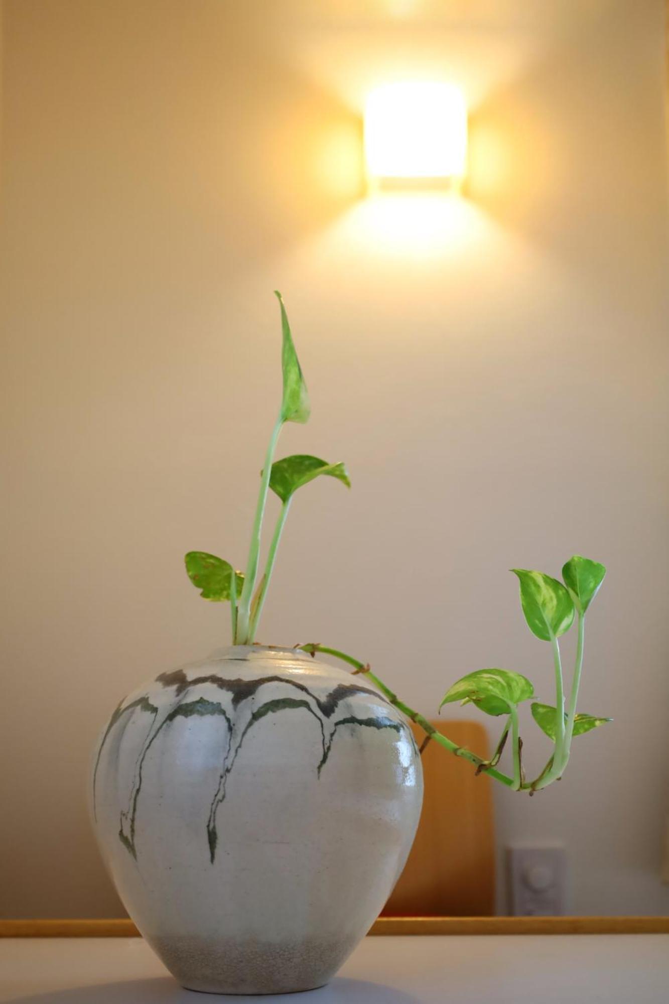 Apartamento 尾久新築